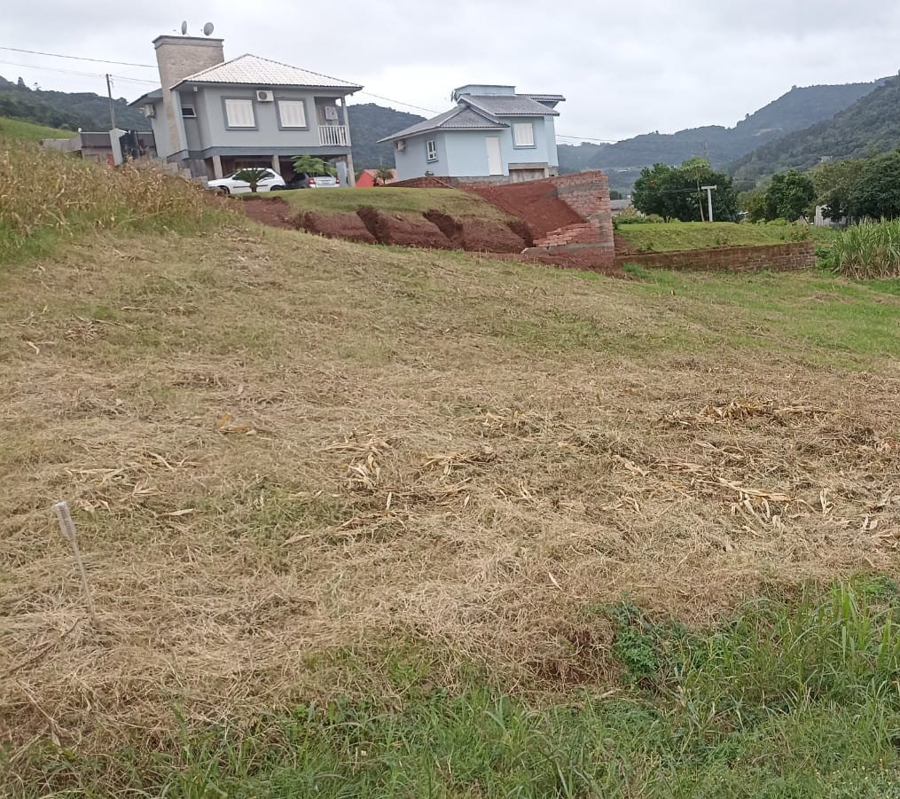 Ótimos lotes Westfália