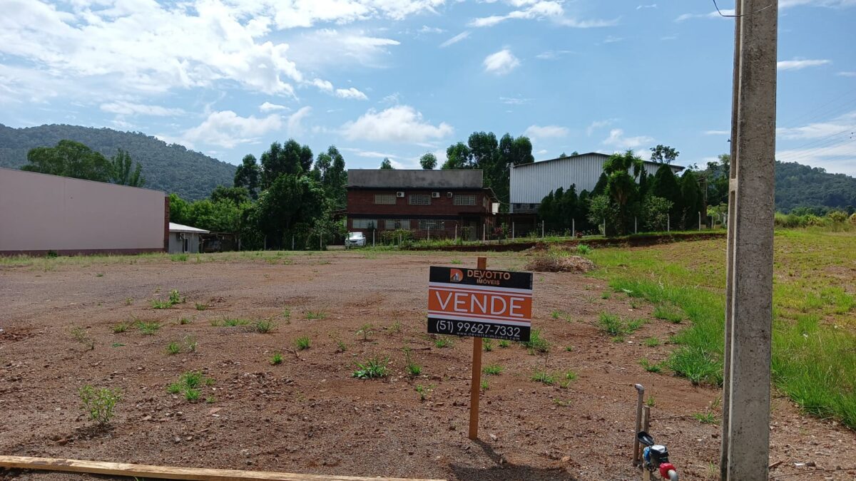 Terrenos Avenida 1 leste