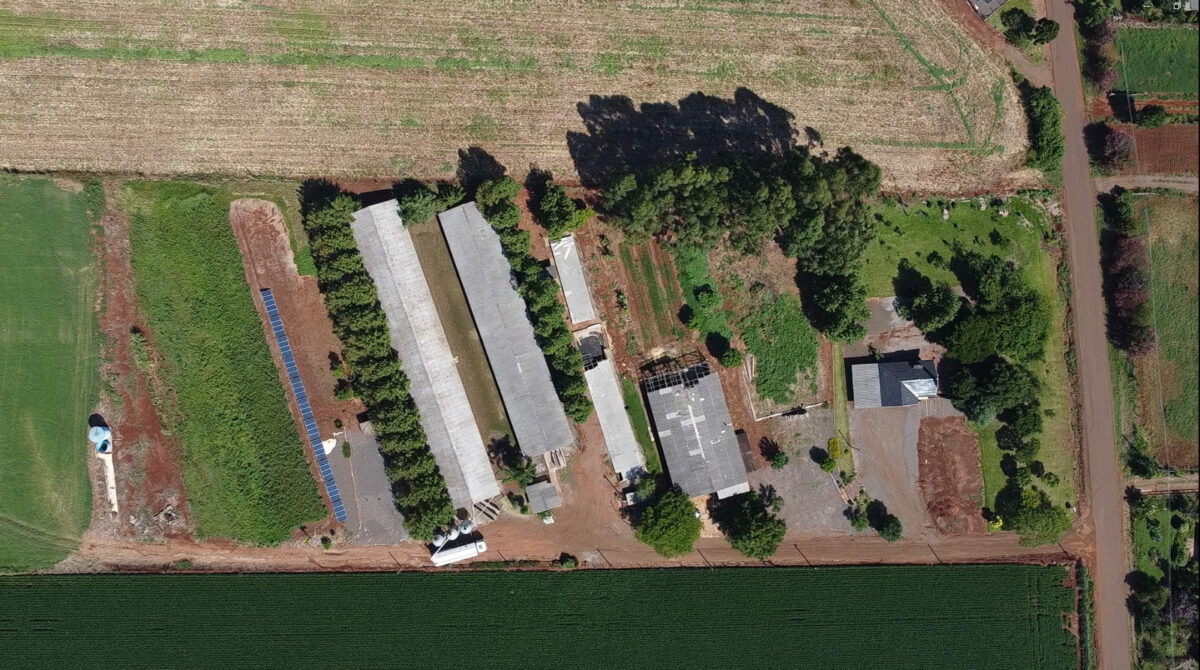 Área de Terras na Linha São Jacó