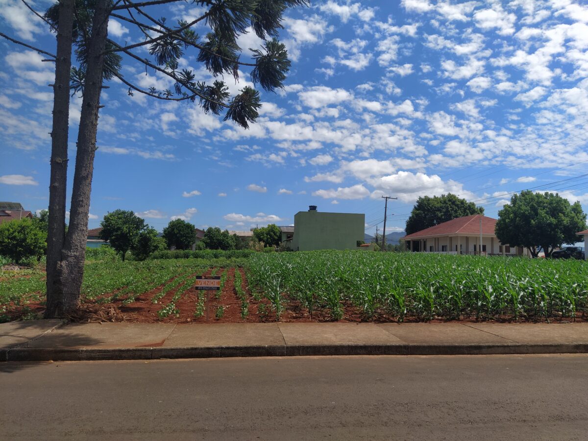 Terreno pronto para construir