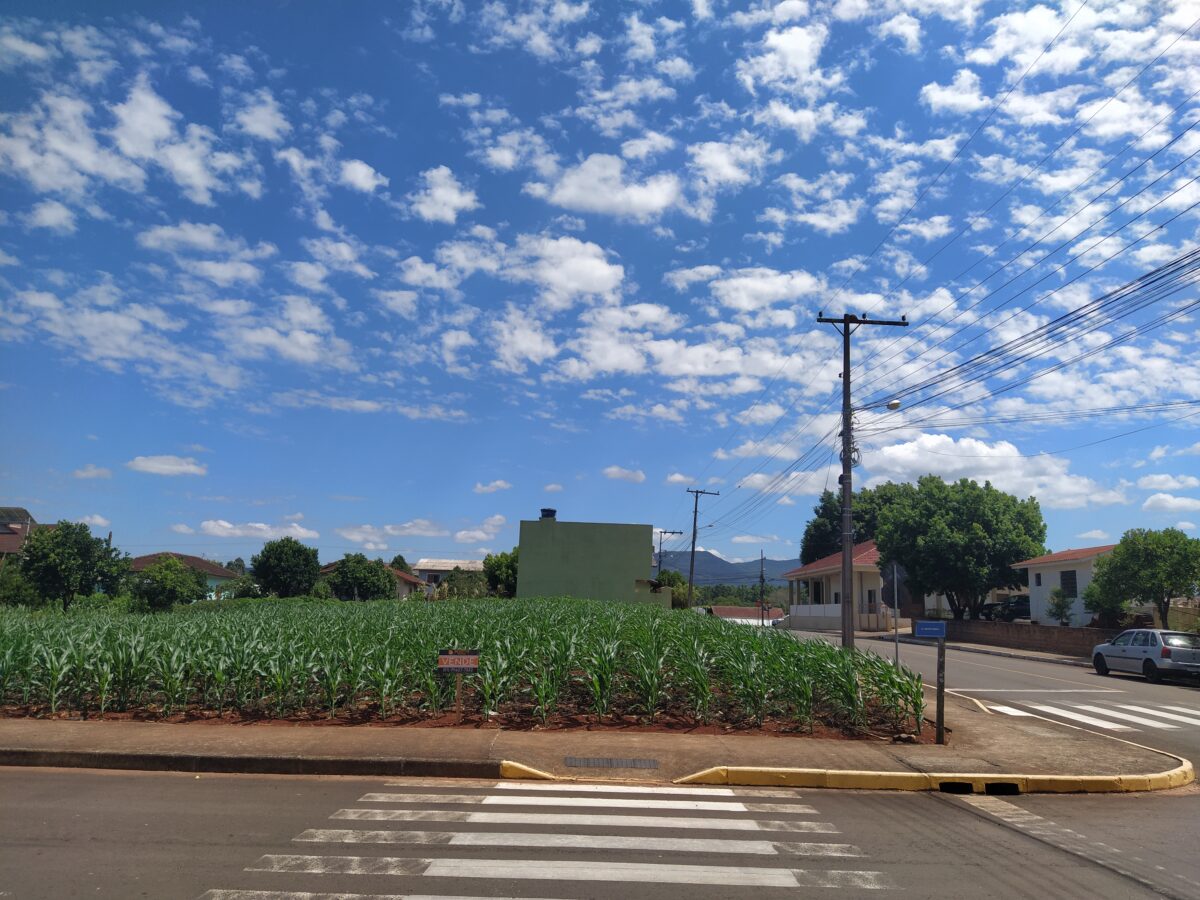 Terreno de esquina plano